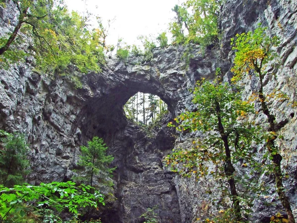 Pequena Ponte Natural Vale Rakov Skocjan Parque Rakek Notranjski Regijski — Fotografia de Stock