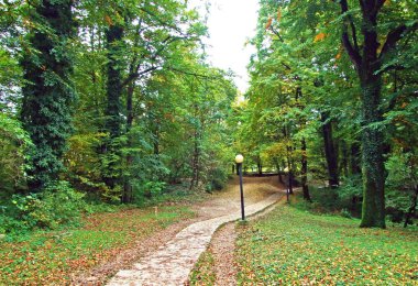 Flora ve Plitvice Gölleri Ulusal Parkı veya nacionalni parkı Plitvicka jezera, UNESCO doğal mirası - Plitvica, Hırvatistan