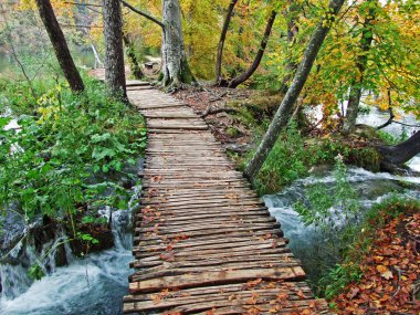 Plitvice Gölleri Ulusal Parkı veya nacionalni parkı Plitvicka jezera, UNESCO doğal mirası - Plitvica, Hırvatistan