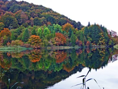 Plitvice Gölleri Ulusal Parkı veya nacionalni parkı Plitvicka jezera, UNESCO doğal mirası - Plitvica, Hırvatistan