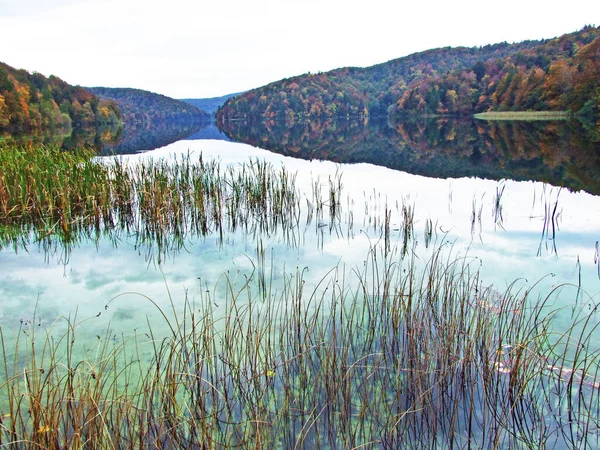 Krajina Prostředí Národního Parku Plitvická Jezera Nebo Národního Parku Plitvická — Stock fotografie