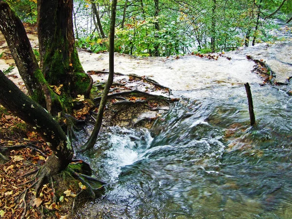 Τοπίο Και Περιβάλλον Του Εθνικού Πάρκου Plitvice Lakes Του Πάρκου — Φωτογραφία Αρχείου