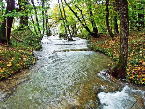 Τοπίο Και Περιβάλλον Του Εθνικού Πάρκου Plitvice Lakes Του Πάρκου — Φωτογραφία Αρχείου