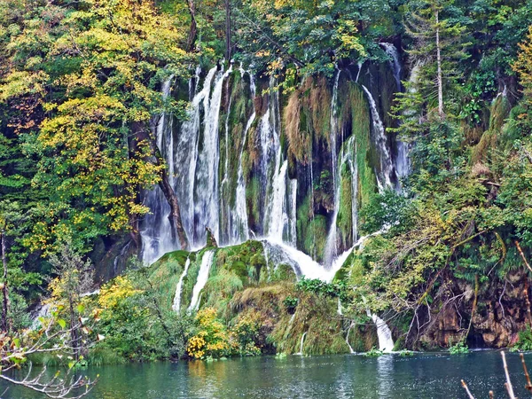 Landschap Omgeving Van Nationaal Park Plitvice Meren Nacionalni Park Plitvicka — Stockfoto