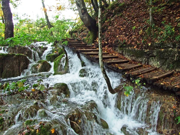 Paisaje Medio Ambiente Del Parque Nacional Los Lagos Plitvice Parque — Foto de Stock