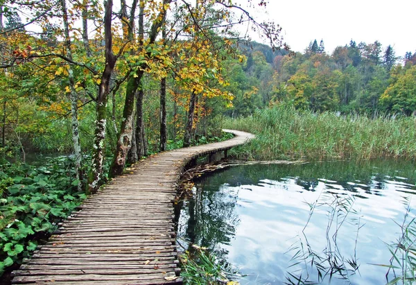 Paisaje Medio Ambiente Del Parque Nacional Los Lagos Plitvice Parque — Foto de Stock