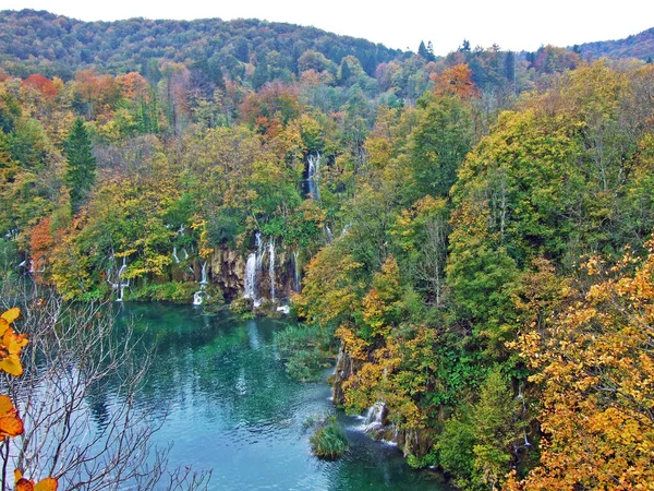 Paysage Environnement Parc National Des Lacs Plitvice Parc Nacionalni Plitvicka — Photo