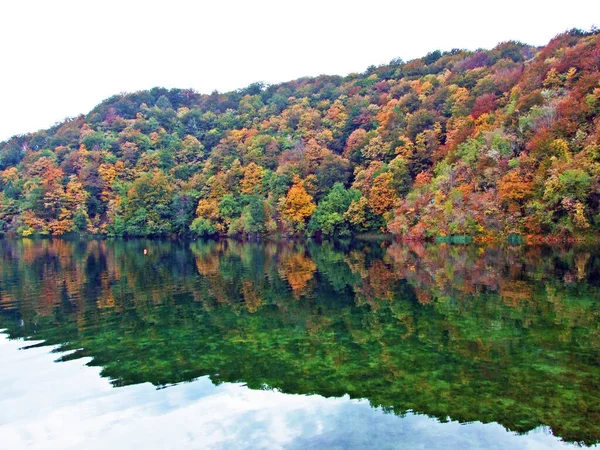 Paysage Environnement Parc National Des Lacs Plitvice Parc Nacionalni Plitvicka — Photo