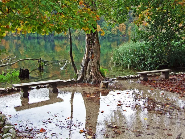 Paysage Environnement Parc National Des Lacs Plitvice Parc Nacionalni Plitvicka — Photo