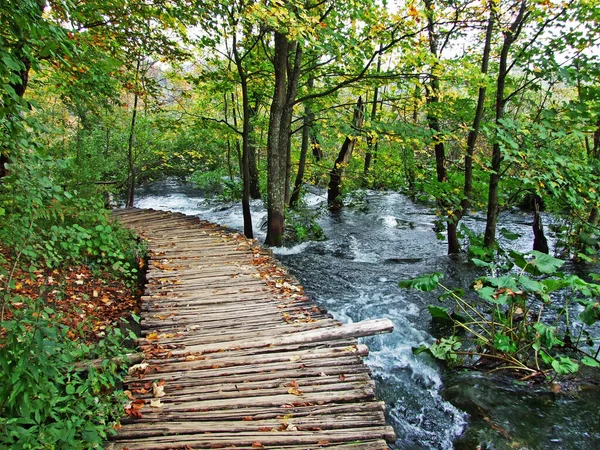 Paisaje Medio Ambiente Del Parque Nacional Los Lagos Plitvice Parque — Foto de Stock