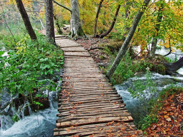 Lanskap Dan Lingkungan Taman Nasional Plitvice Lakes Atau Taman Nacionalni — Stok Foto