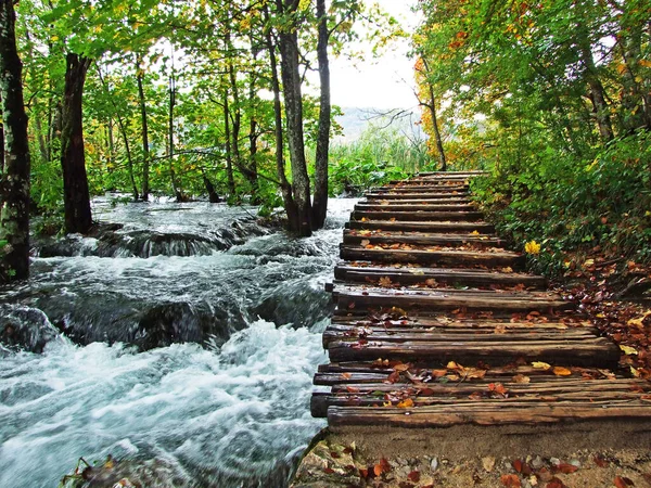 Paisaje Medio Ambiente Del Parque Nacional Los Lagos Plitvice Parque — Foto de Stock