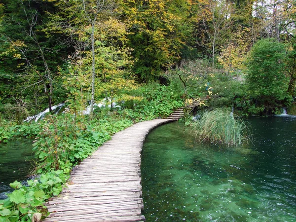 プリトヴィツァ湖国立公園や国立国立公園の景観と環境プリトヴィツァ ジェゼラ ユネスコ世界自然遺産 プリトヴィツァ クロアチア — ストック写真