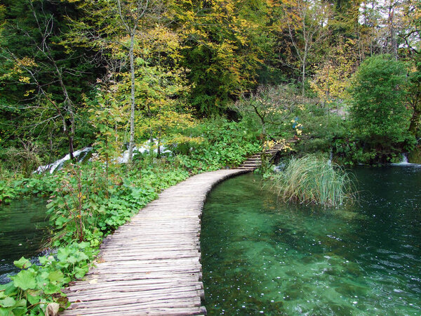 Landscape and environment of Plitvice Lakes National Park or nacionalni park Plitvicka jezera, UNESCO natural world heritage - Plitvica, Croatia