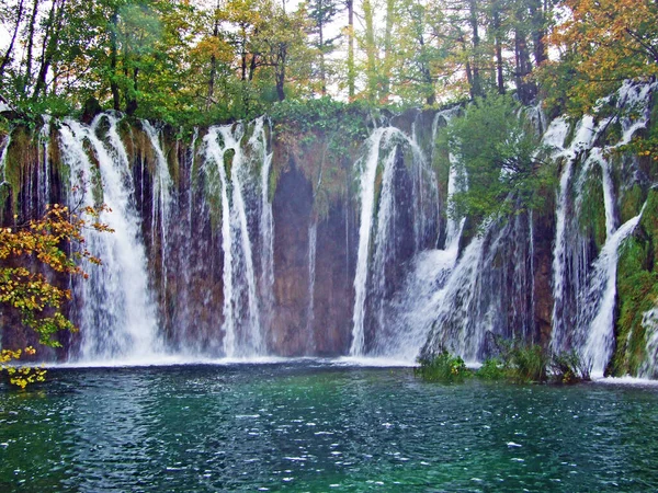 Tájkép Környezet Plitvicei Tavak Nemzeti Park Vagy Nacionalni Park Plitvicka — Stock Fotó