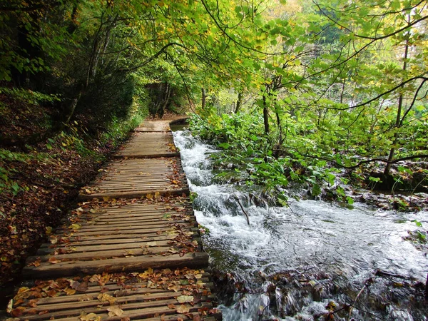 プリトヴィツァ湖国立公園や国立国立公園の景観と環境プリトヴィツァ ジェゼラ ユネスコ世界自然遺産 プリトヴィツァ クロアチア — ストック写真