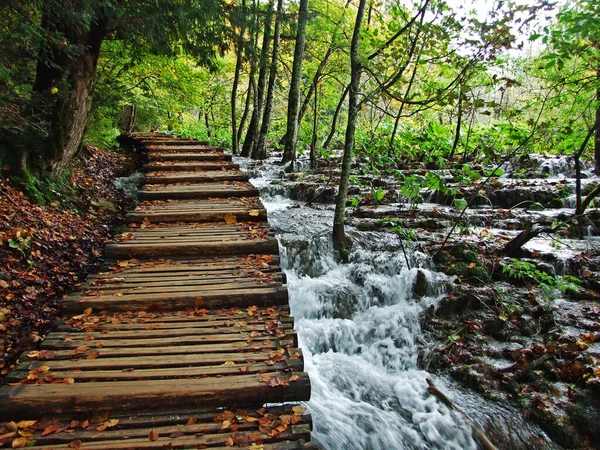 Paisaje Medio Ambiente Del Parque Nacional Los Lagos Plitvice Parque — Foto de Stock