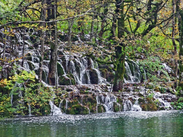 プリトヴィツァ湖国立公園や国立国立公園の景観と環境プリトヴィツァ ジェゼラ ユネスコ世界自然遺産 プリトヴィツァ クロアチア — ストック写真