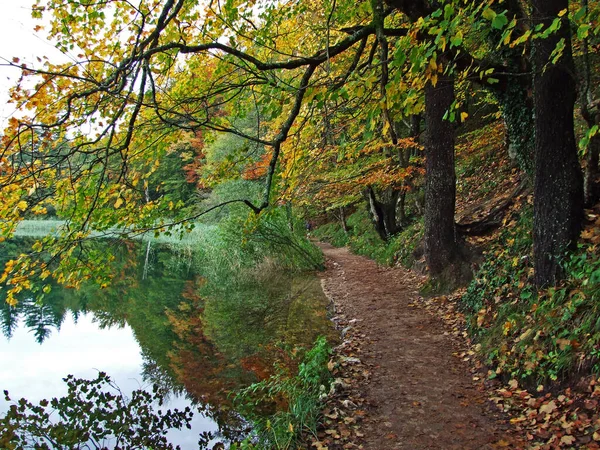 Plitvice 호수의 Nacionalni Park Plitvicka Jezera Unesco Plitvica Croatia — 스톡 사진