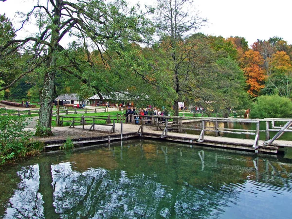 Landschaft Und Umwelt Des Nationalparks Plitvicer Seen Oder Des Nationalparks — Stockfoto