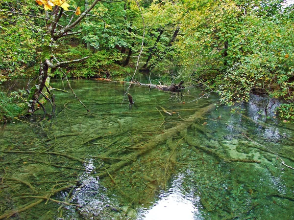 Paysage Environnement Parc National Des Lacs Plitvice Parc Nacionalni Plitvicka — Photo