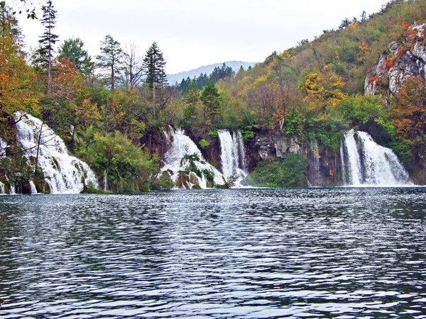 Tájkép Környezet Plitvicei Tavak Nemzeti Park Vagy Nacionalni Park Plitvicka — Stock Fotó