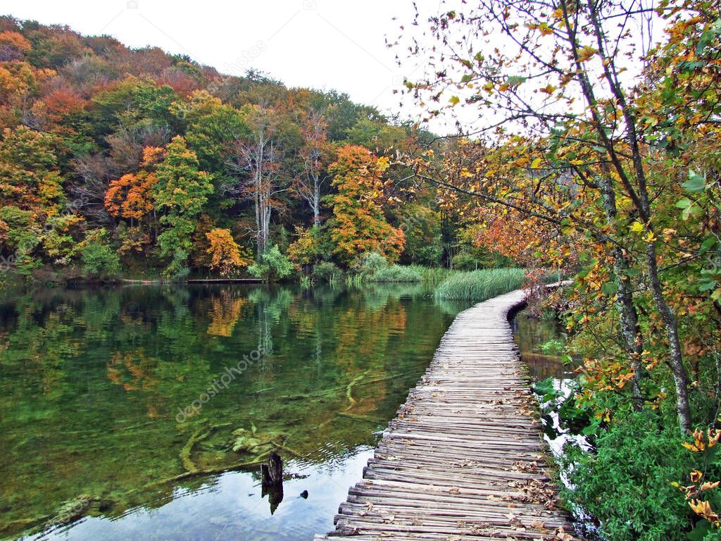 Landscape and environment of Plitvice Lakes National Park or nacionalni park Plitvicka jezera, UNESCO natural world heritage - Plitvica, Croatia