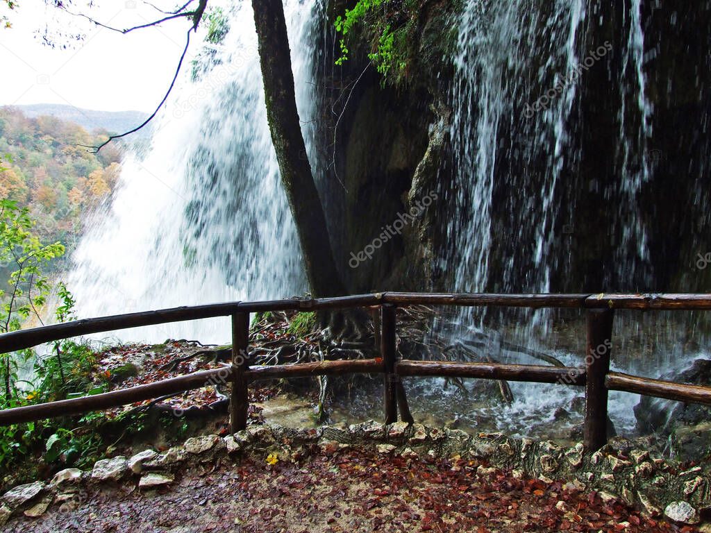 Landscape and environment of Plitvice Lakes National Park or nacionalni park Plitvicka jezera, UNESCO natural world heritage - Plitvica, Croatia
