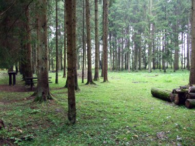 Önemli Barac mağaraları veya Znacajni Krajolik Baraceve sızıntısı - Rakovica, Hırvatistan (Kroatien, Hrvatska)