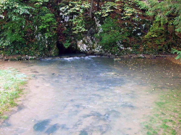 Cueva Primavera Arroyo Baracevac Izvor Spilja Potok Baracevac Paisaje Significativo — Foto de Stock