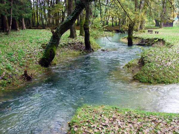 Primavera Caverna Riacho Baracevac Izvor Spilja Potok Baracevac Paisagem Significativa — Fotografia de Stock