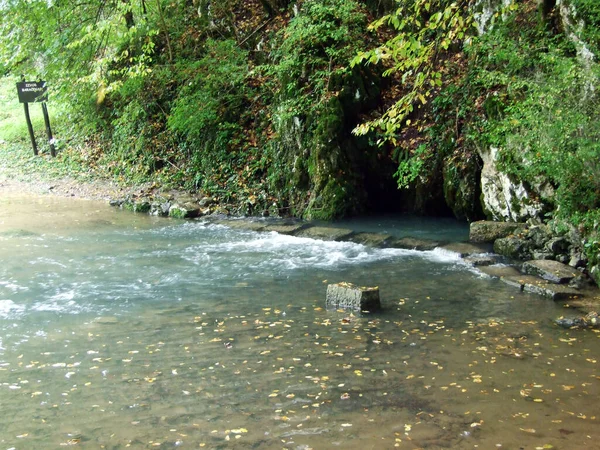 Весенняя Пещера Ручей Baracevac Izvor Spilja Potok Baracevac Значительный Ландшафт — стоковое фото