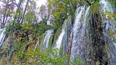 Plitvice Lakes Ulusal Parkı veya nacionalni parkı Plitvicka jezera, UNESCO doğal dünya mirası - Plitvica, Hırvatistan (Kroatien / Croazia / Hrvatska))