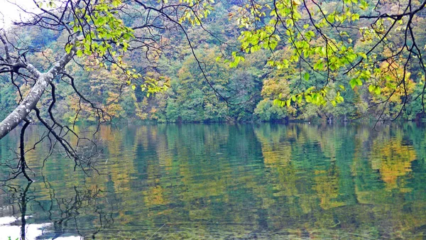 Paisaje Medio Ambiente Del Parque Nacional Los Lagos Plitvice Parque — Foto de Stock