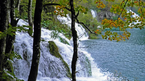 Landskap Och Miljö Plitvicesjöarnas Nationalpark Eller Nacionalni Park Plitvicka Jezera — Stockfoto