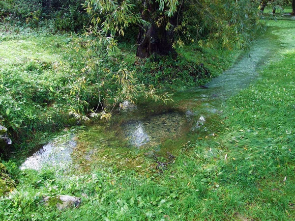 Grotta Primaverile Torrente Baracevac Izvor Spilja Potok Baracevac Paesaggio Significativo — Foto Stock