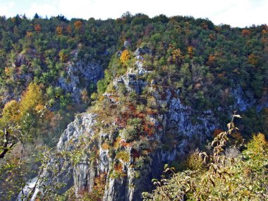 Plitvice Lakes Ulusal Parkı veya nacionalni parkı Plitvicka jezera, UNESCO doğal mirası - Plitvica, Hırvatistan (Kroatien / Hrvatska))