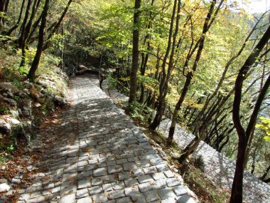 Plitvice Lakes Ulusal Parkı veya nacionalni parkı Plitvicka jezera, UNESCO doğal mirası - Plitvica, Hırvatistan (Kroatien / Hrvatska))