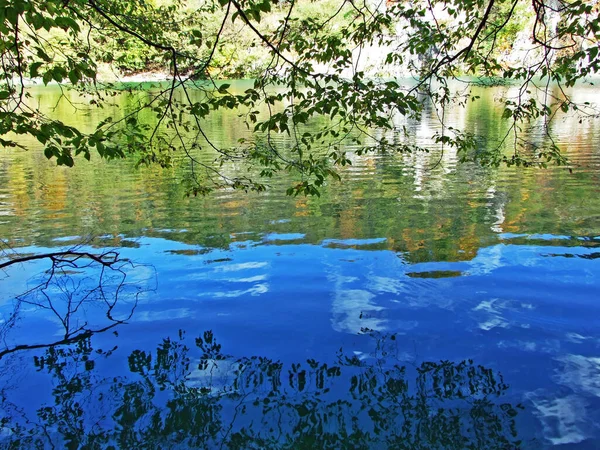 Χλωρίδα Και Πανίδα Του Εθνικού Πάρκου Plitvice Lakes Του Εθνικού — Φωτογραφία Αρχείου