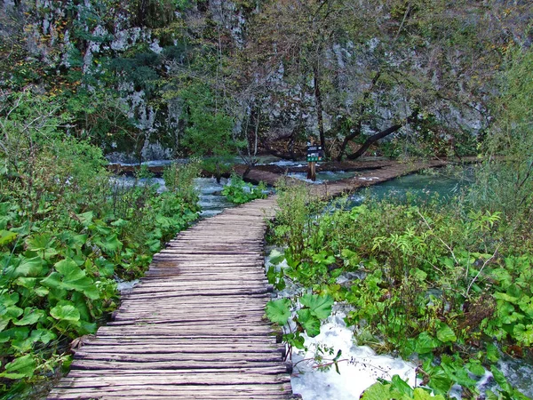Paisagem Ambiente Parque Nacional Dos Lagos Plitvice Parque Nacional Plitvicka — Fotografia de Stock