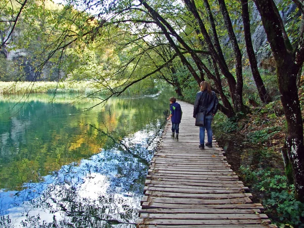 Paisaje Medio Ambiente Del Parque Nacional Los Lagos Plitvice Parque — Foto de Stock