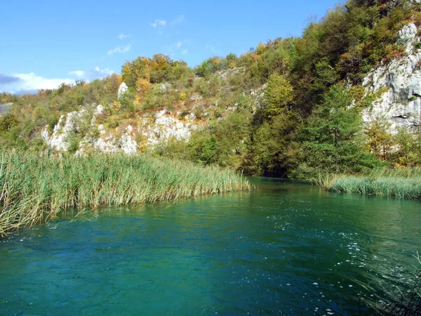 Krajobraz Środowisko Plitwickiego Parku Narodowego Lub Parku Narodowego Plitvicka Jezera — Zdjęcie stockowe