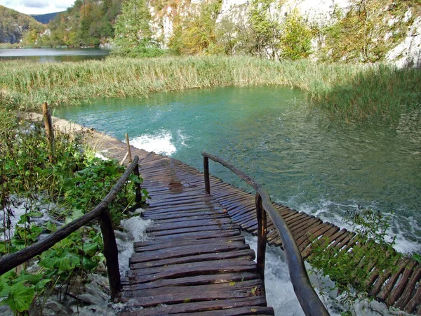 Τοπίο Και Περιβάλλον Του Εθνικού Πάρκου Plitvice Lakes Του Πάρκου — Φωτογραφία Αρχείου