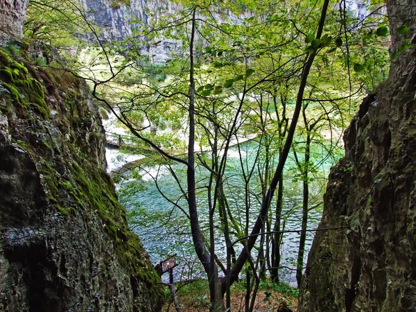Supljara Cave Plitvice Lakes National Park Spilja Supljara Nacionalnom Parku — Stock Photo, Image
