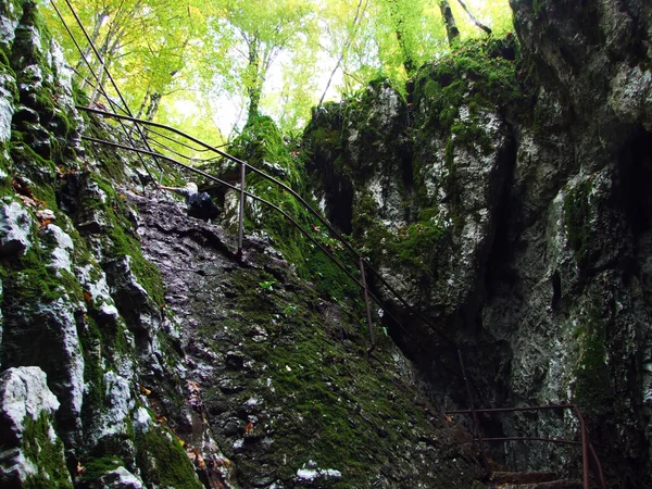 プリトヴィツェのスプルジャラ洞窟国立公園やSpilja Supljara Nationalnom Parkuプリトヴィツァ ユネスコ世界自然遺産 プリトヴィツァ クロアチア — ストック写真