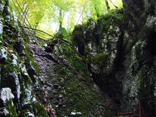 Cueva Supljara Parque Nacional Los Lagos Plitvice Spilja Supljara Nacionalnom —  Fotos de Stock