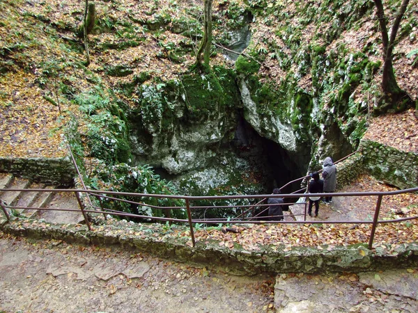 Plitvice湖国家公园的Supljara洞穴或Plitvicka Jezera土著民族的溢出洞穴 教科文组织世界自然遗产 克罗地亚普里维察 — 图库照片