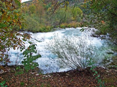 Plitvice Lakes Ulusal Parkı 'nın aşağısındaki Korana Nehri üzerindeki ilk şelale - Hırvatistan (Prvi slapovi na rijeci Korani, podno nacionalnog parka Plitvicka jezera - Hrvatska)