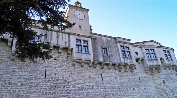 Pazin Şatosu Burg Mitterburg Montecuccoli Şatosu Veya Castello Montecuccoli Pazin — Stok fotoğraf