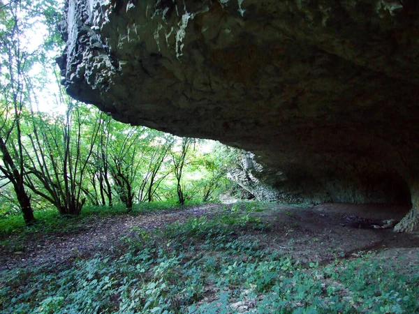 Canyon Pazincica River Abyss Pazin Cave Pazin Croatia Kanjon Rijeke — Stock Photo, Image